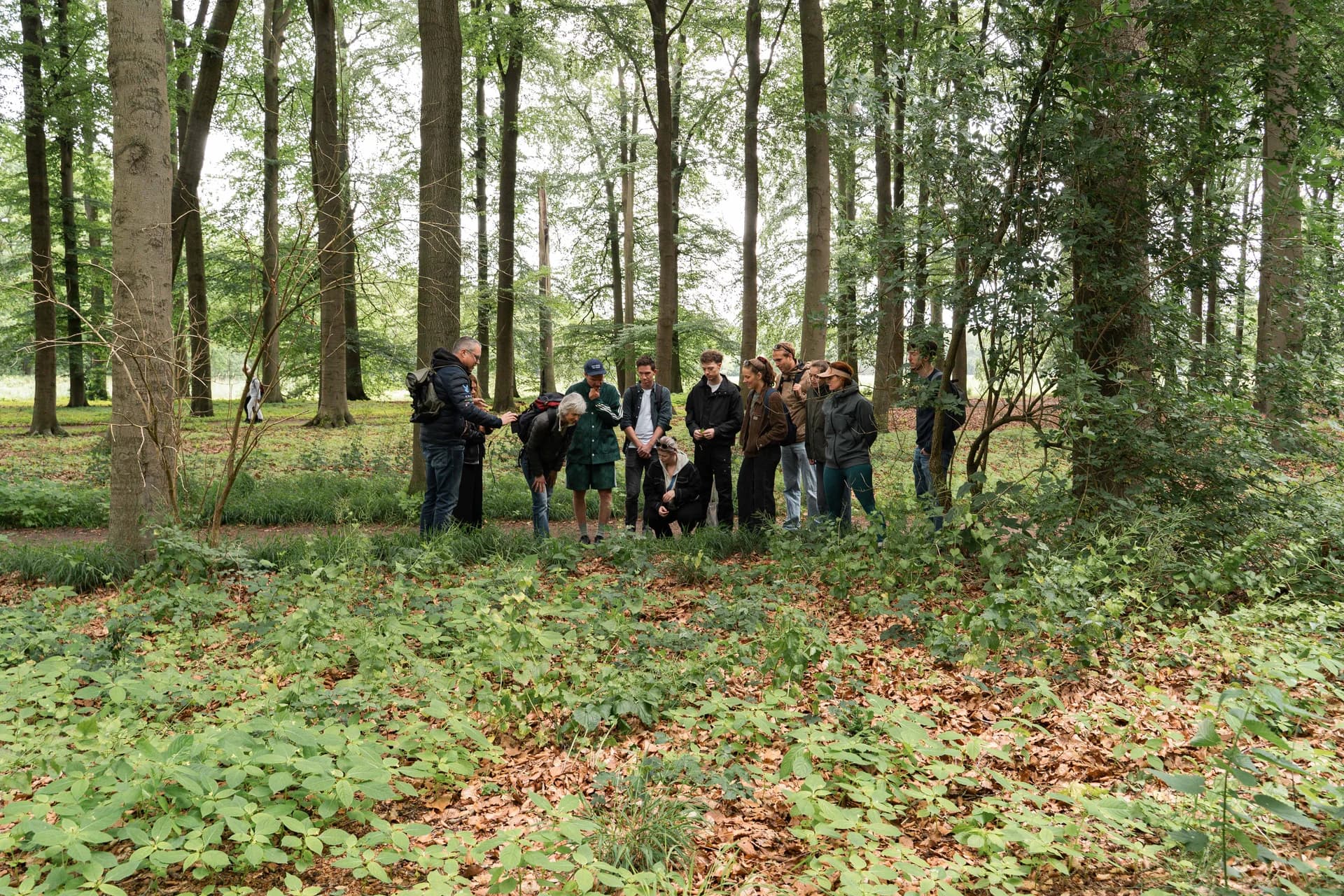 Opening van de Boshalte